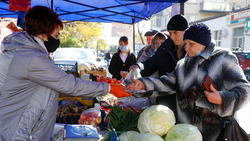 На Ставрополье увеличится число продовольственных мини-рынков