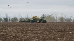Аграрии Грачёвского округа высадили горох на 1,2 тыс. га полей