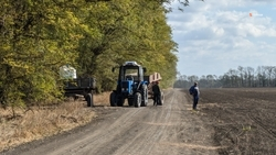 В Грачёвском округе завершили сев озимых