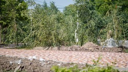 Парк благоустраивают в центре села Грачёвского округа