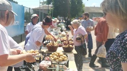 В Грачёвском округе проходит фестиваль картофеля