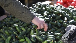 Ставропольские аграрии получат свыше 4,6 миллиарда рублей господдержки