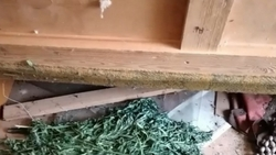 Полицейские нашли в доме у ставропольца 300 граммов наркотиков