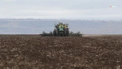 План по севу озимых культур выполнили в Грачёвском округе на 34%