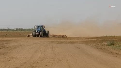 На Ставрополье стартовала уборка раннего картофеля