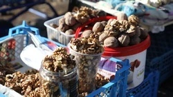 В селе на Ставрополье возведут новый ярмарочный павильон