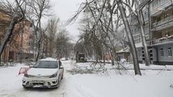В Ставропольском крае подсчитывают ущерб от урагана