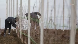 Ставропольским фермерам окажут поддержку из краевых средств