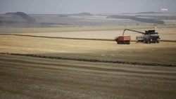 Аграриям Ставрополья компенсируют расходы на топливо в период жатвы
