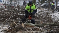 На Ставрополье штормовой ветер повредил 107 жилых домов