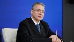 На Ставрополье собрали более 6 млн тонн зерна 