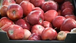 На Ставрополье нарастили экспорт местной продукции