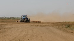 Уборка раннего картофеля стартовала на Ставрополье