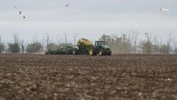 Аграрии Грачёвского округа высадили горох на 1,2 тыс. га полей